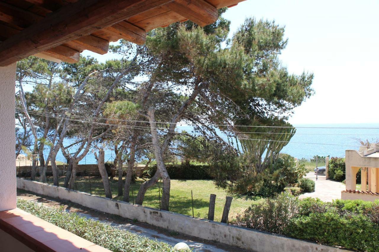 Nettuno By The Sea