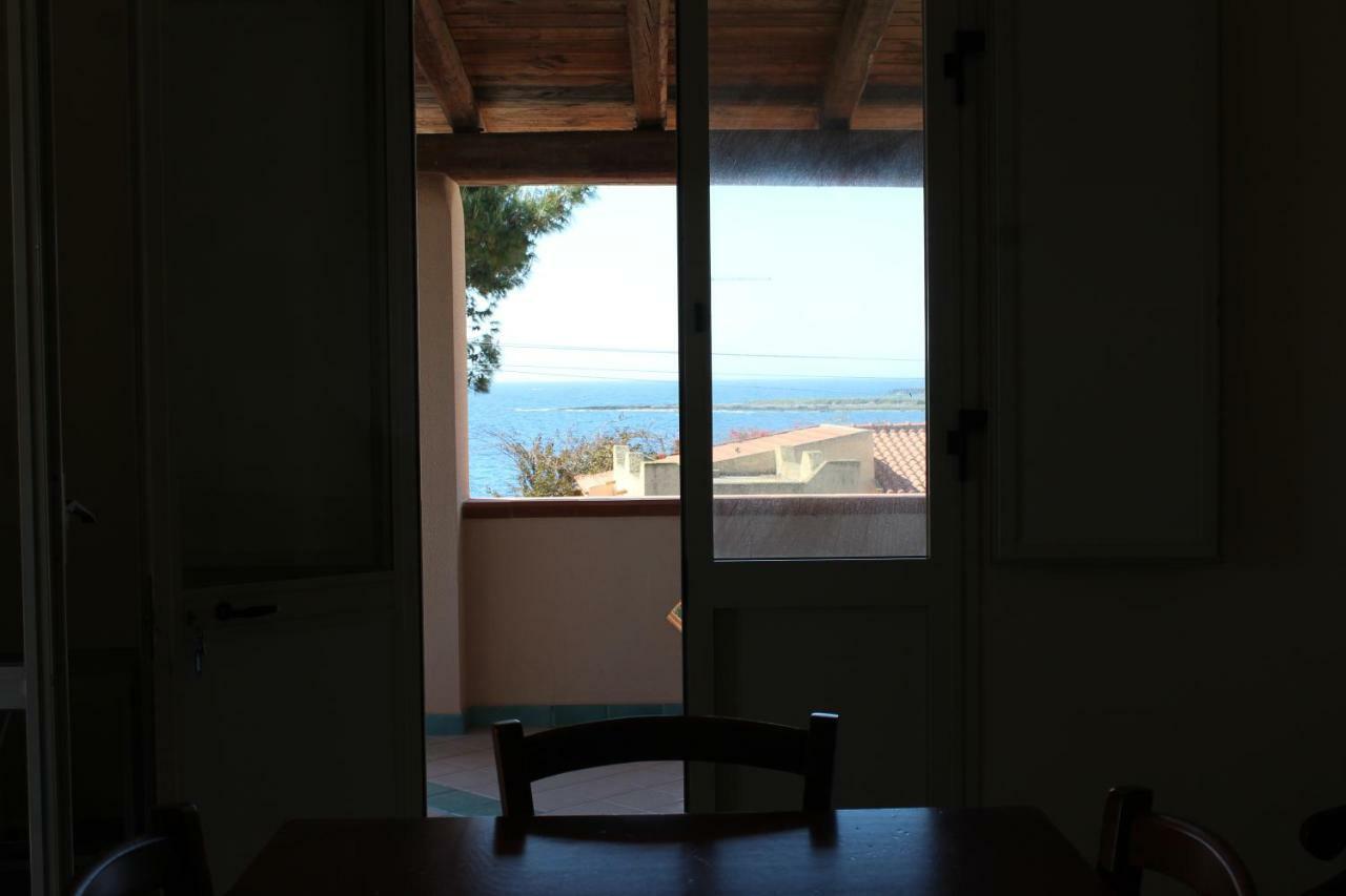 Nettuno By The Sea